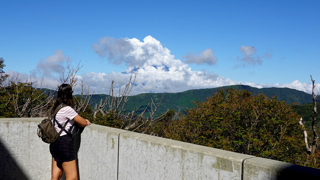 Noelia intentando ver el Monte Fuji desde el mirador.