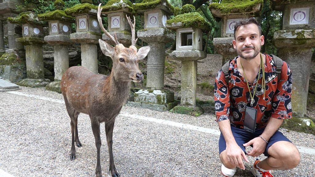 Ciervo macho al lado de Joan en el parque de Nara