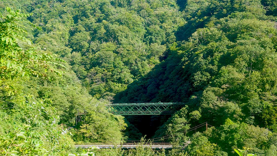 Puente Hayakawa