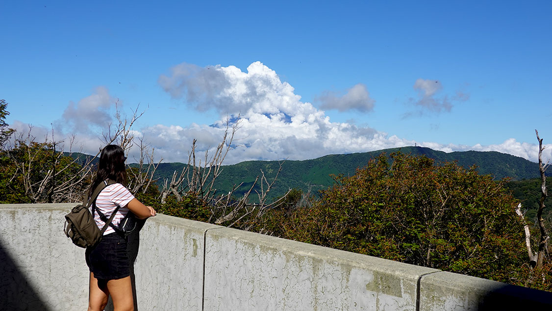 Vistas al Monte Fuji