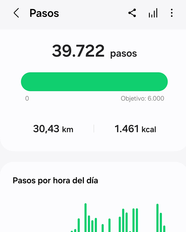 40.000 pasos hicimos durante un día por Tokio
