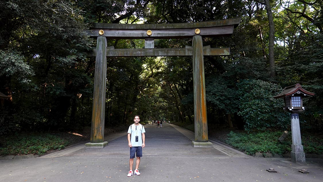 Torii en el Santuario Meiji