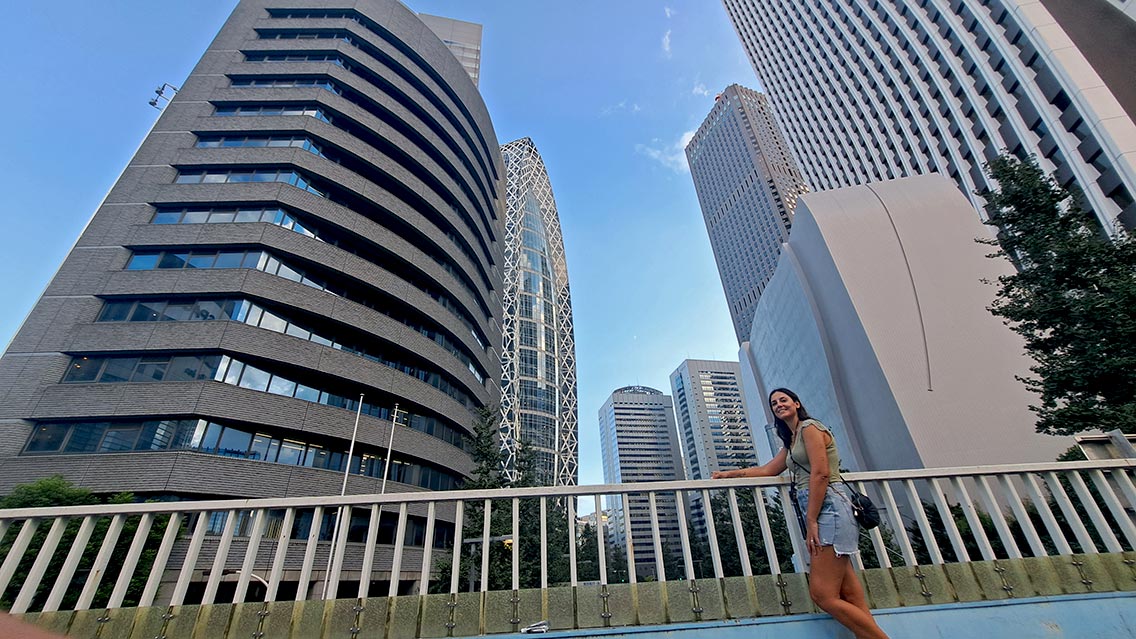 Nishi-Shinjuku, zona de rascacielos