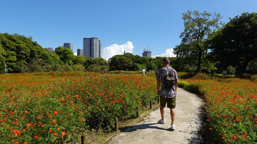 Joan recorriendo los campos de flores de los Jardines de Hamarikyu con rascacielos de fondo en Tokio.