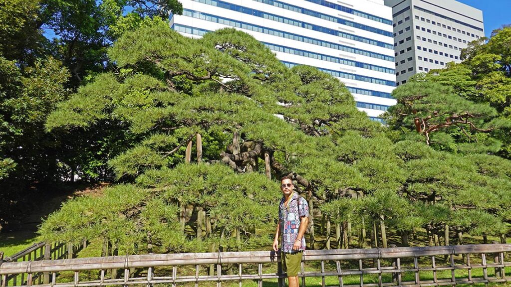 Joan frente al histórico pino negro de más de 300 años en los Jardines de Hamarikyu de Tokio.