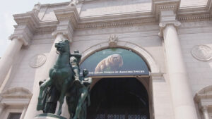 Lee más sobre el artículo Museos de Nueva York