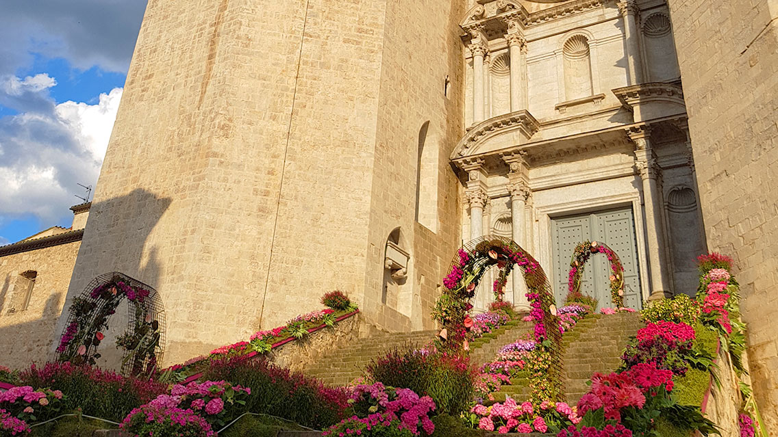 Temps de Flors