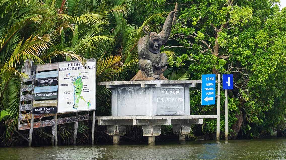 Excursión a Borneo
