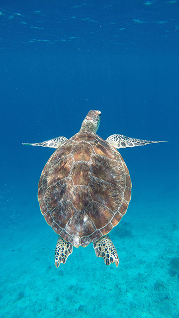 islas gili