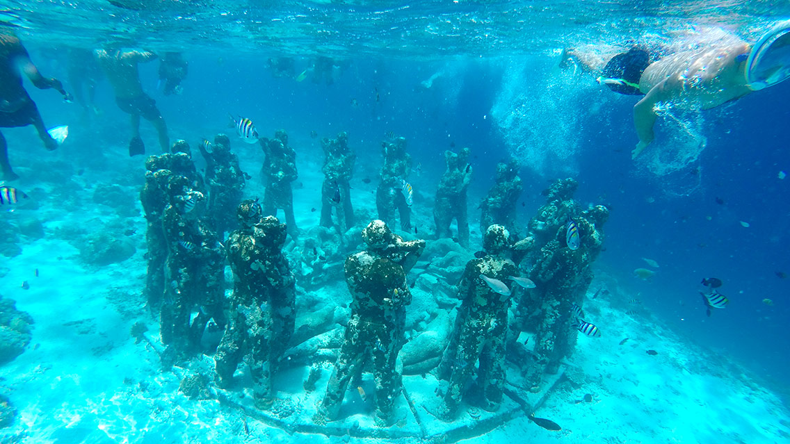 Practica snorkel y descubre lugares increíbles.