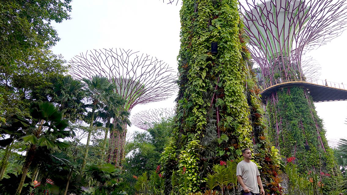 Gardens By the Bay