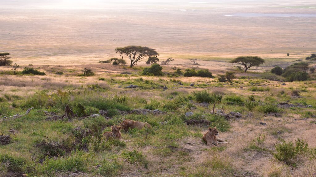 África una tierra mágica