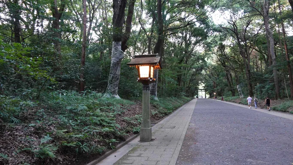 Camino principal de grava Minami-Sando rodeado de árboles y farolillos tradicionales en Harajuku.