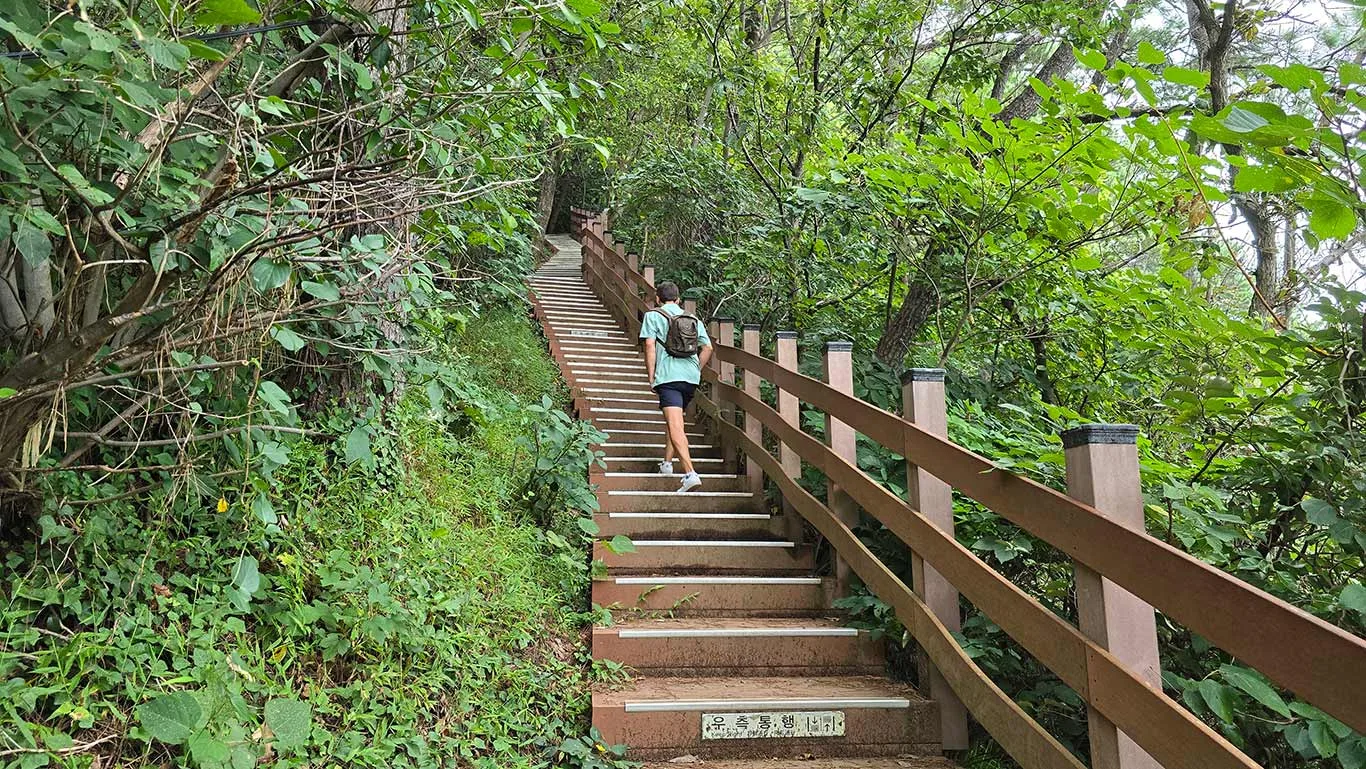 subiendo escaleras