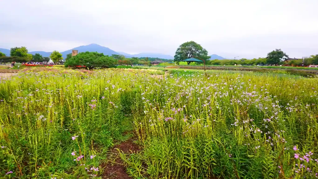 Parque lleno de flores