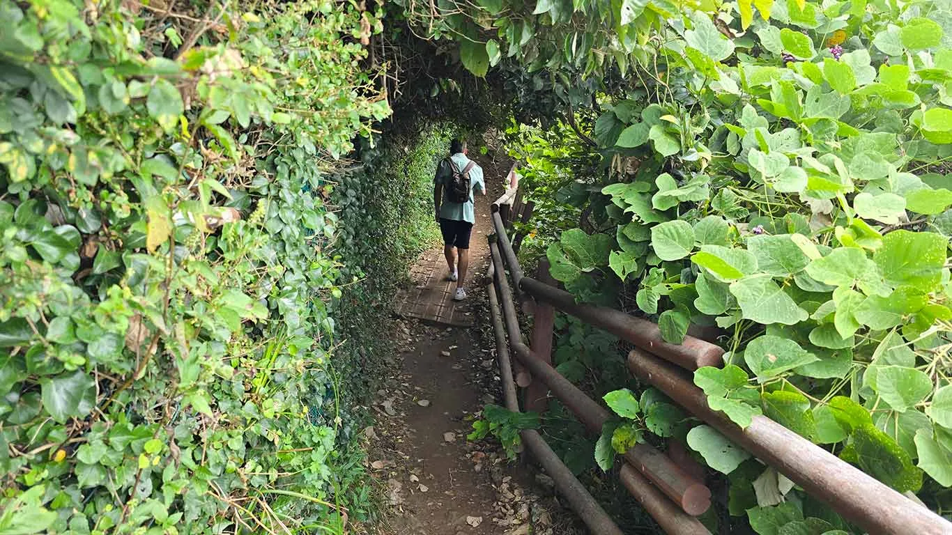 Joan en uno de los tramos del camino del Igidae Coastal Trail