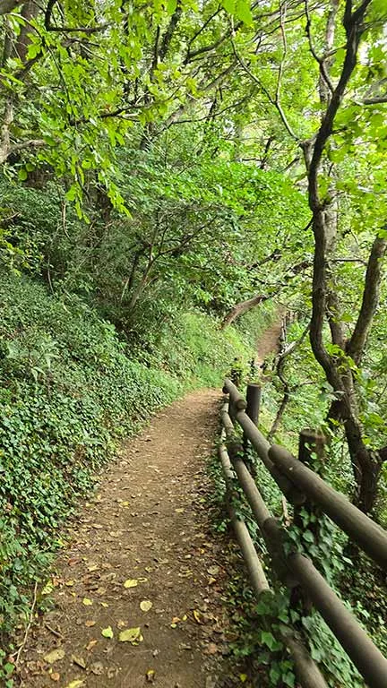 Camino del sendero de l playa