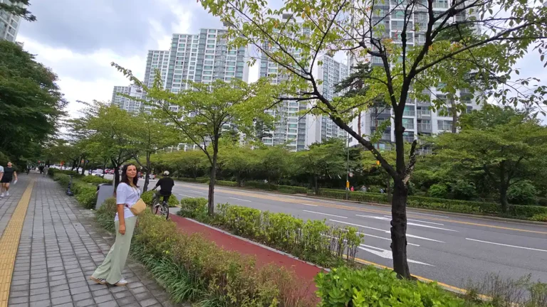 Por la calle Seokchonhosu-ro yendo al paseo marítimo del río Han