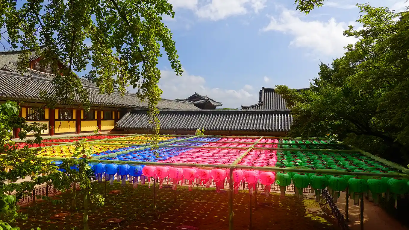 farolillos de coloes