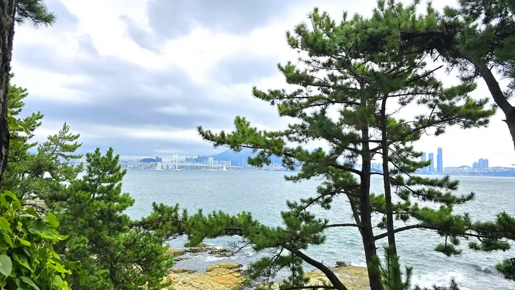 Vistas con el contraste de los árboles