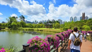 Qué ver en Seomyeon