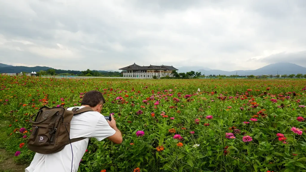 Fotografiando un paisaje con flores y el Hwangnyongsa History & Culture Hall