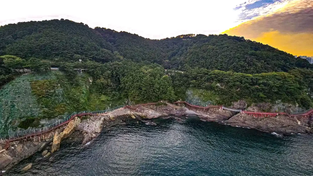 Vistas desde el teleférico hacia el sendero del Parque Amnam
