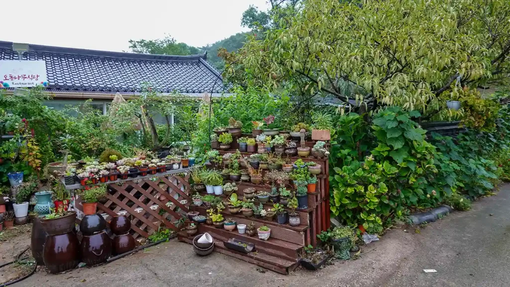 Un estante de varios pisos con plantas y flores en un jardín en una casa tradicional