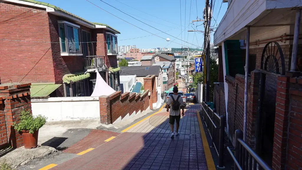Joan paseando por una zona residencial de Suwon
