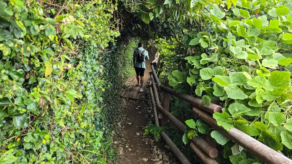 Joan haciendo senderismo por el Igidae Coastal Trail, un camino lleno de naturaleza y todo verde