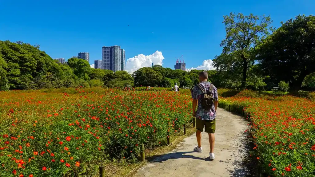 Llegar a Tokio y visitar los jardines Hama-rikyu con vistas a los rascacielos de Shiodome