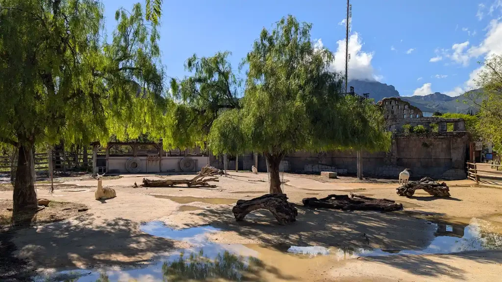 Recinto de animales en Terra Natura Benidorm incluido con el hotel Magic Pirates Island.