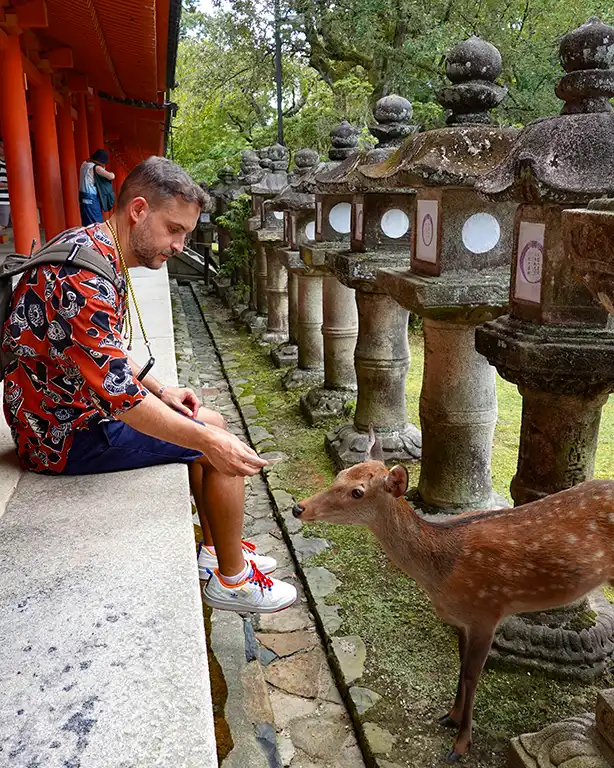 Joan alimentando a un ciervo sagrado en el Parque de Nara.