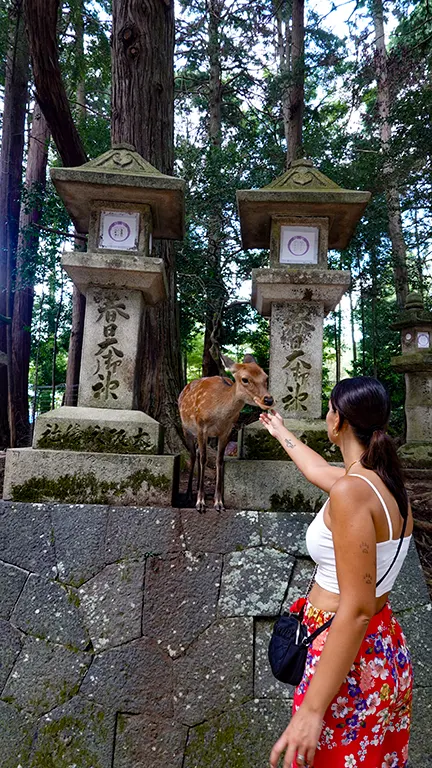 Noelia saludando a un ciervo en Nara, excursión perfecta desde tu hotel en Osaka