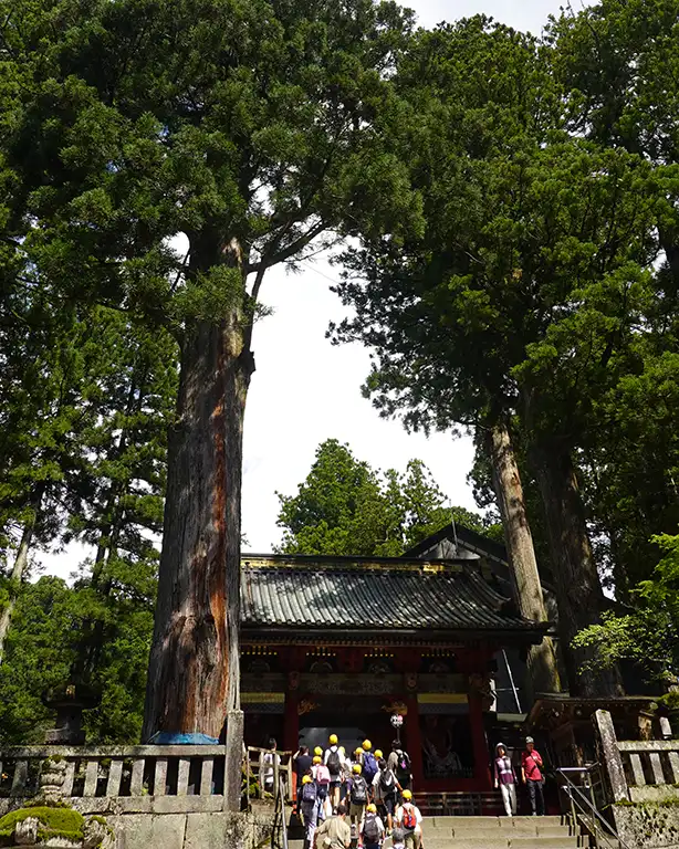 Entrada a un templo de Nikko con gran afluencia de gente.