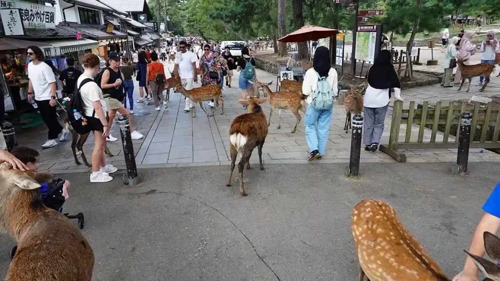 Calle comercial de acceso al Tōdai-ji.