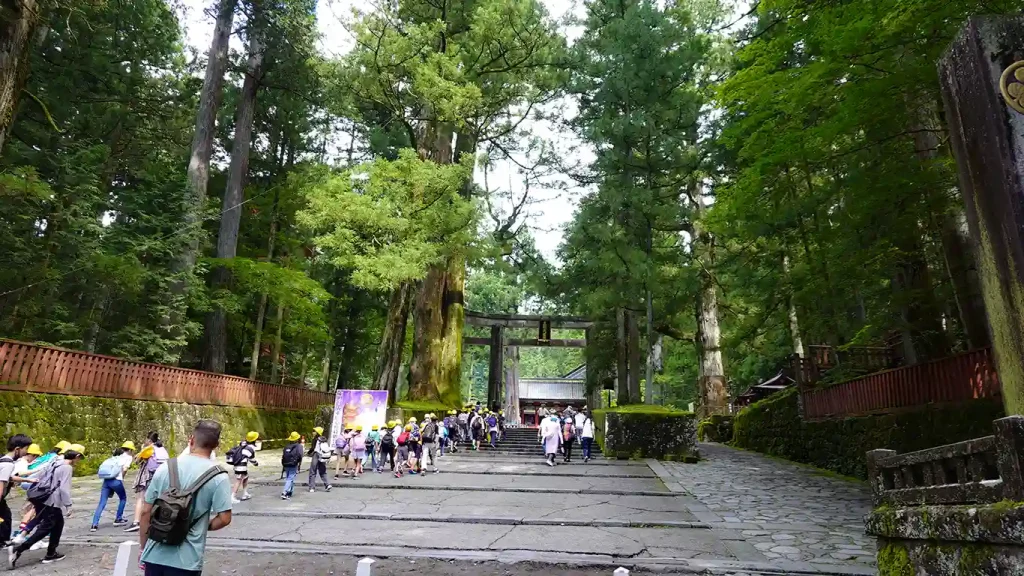 Joan subiendo el camino de cedros gigantes con torii al fondo.