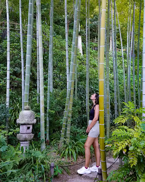 Noelia en el bosque de bambú de Hasedera.