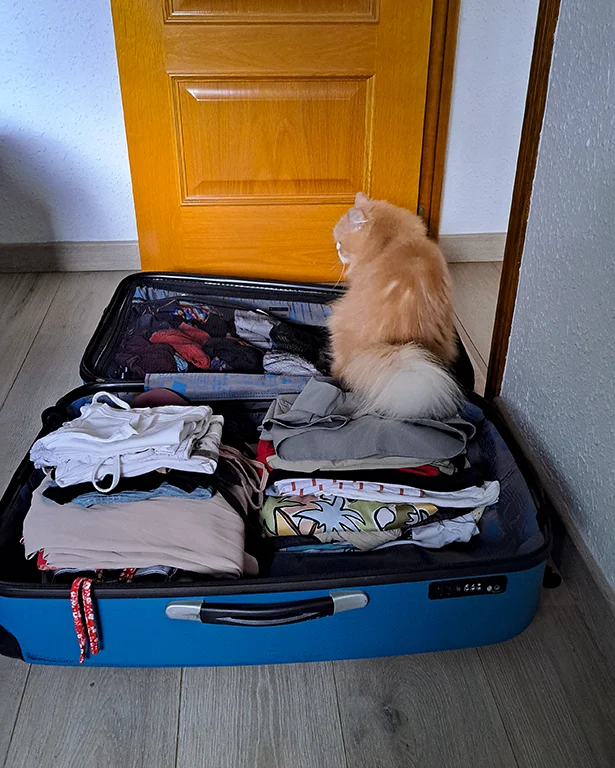 Nuestro gato dentro de la maleta.