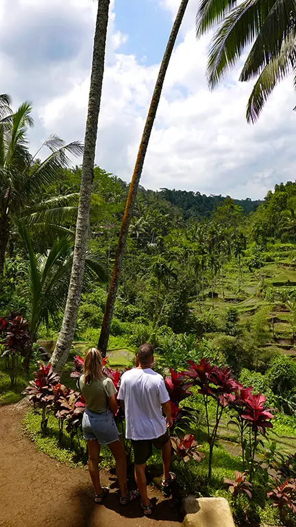 Noelia y Joan recorriendo los conocidos arrozales de Tegalalang en Ubud.