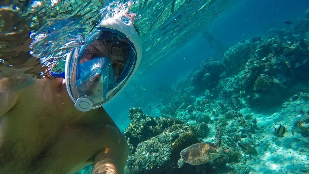 Joan nadando junto a una tortuga marina en el snorkel por las Islas Gili.