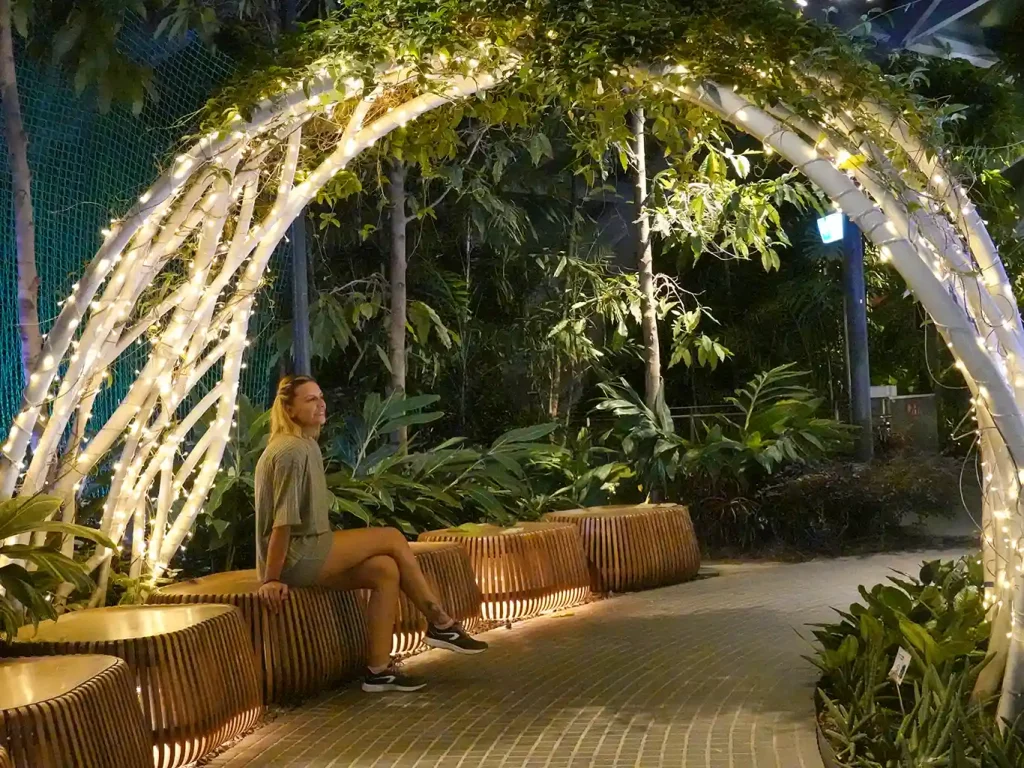Interior del Canopy Park.