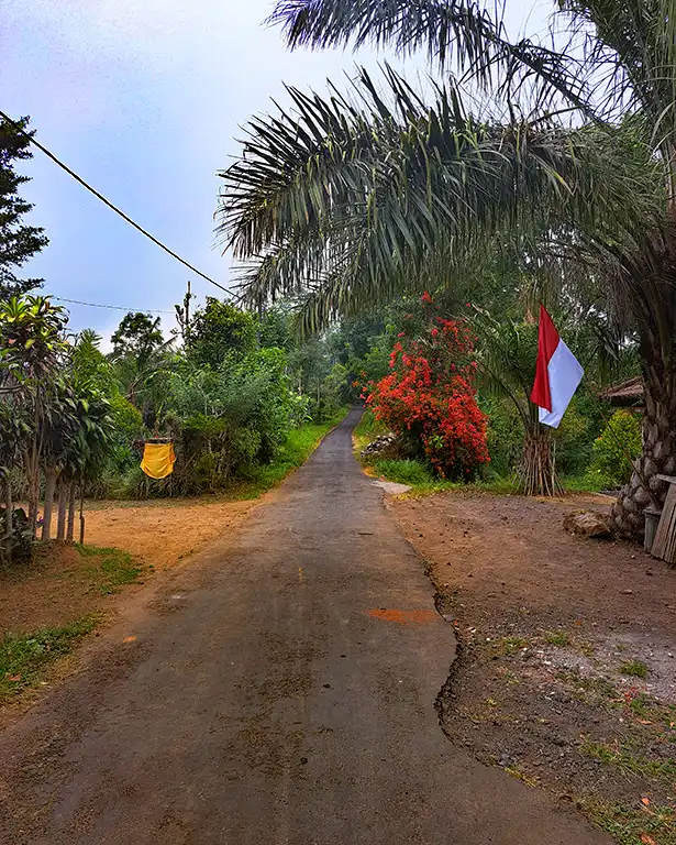 Carretera secundaria bacheada y estrecha en Bali.