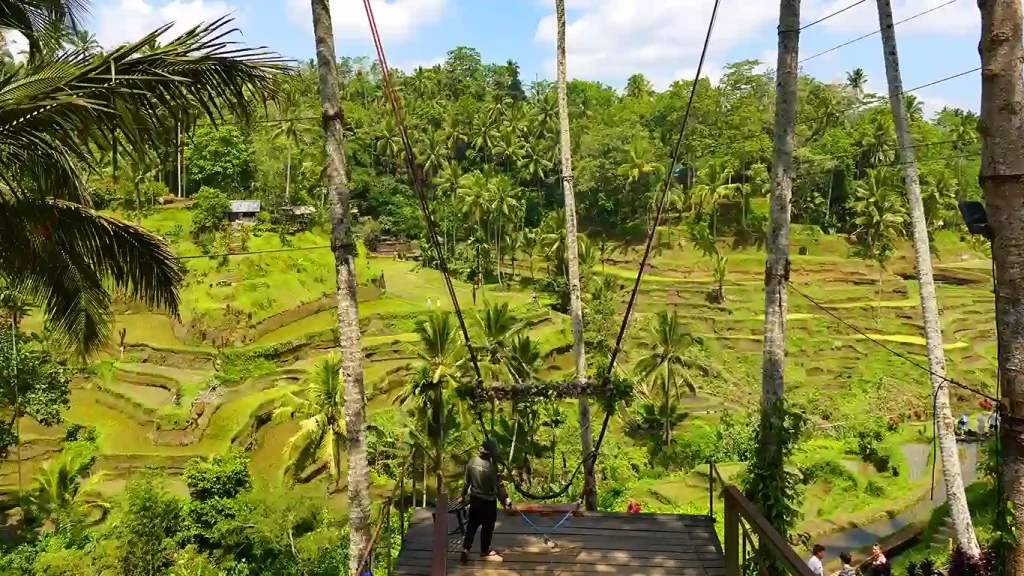 Famosos columpios Bali Swing sobre las terrazas de arroz de Tegalalang.