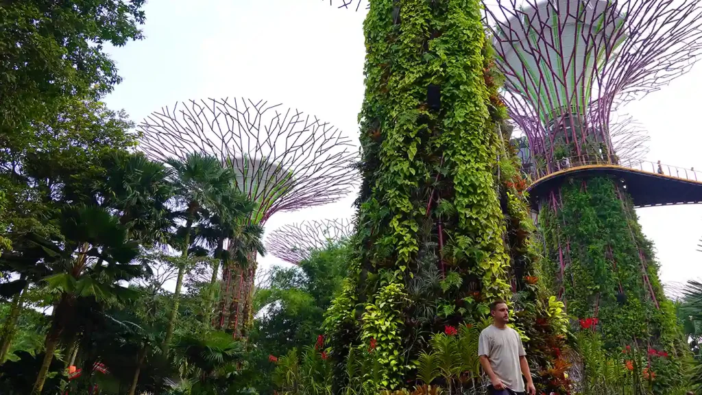 Supertrees de Gardens by the Bay en Singapur.