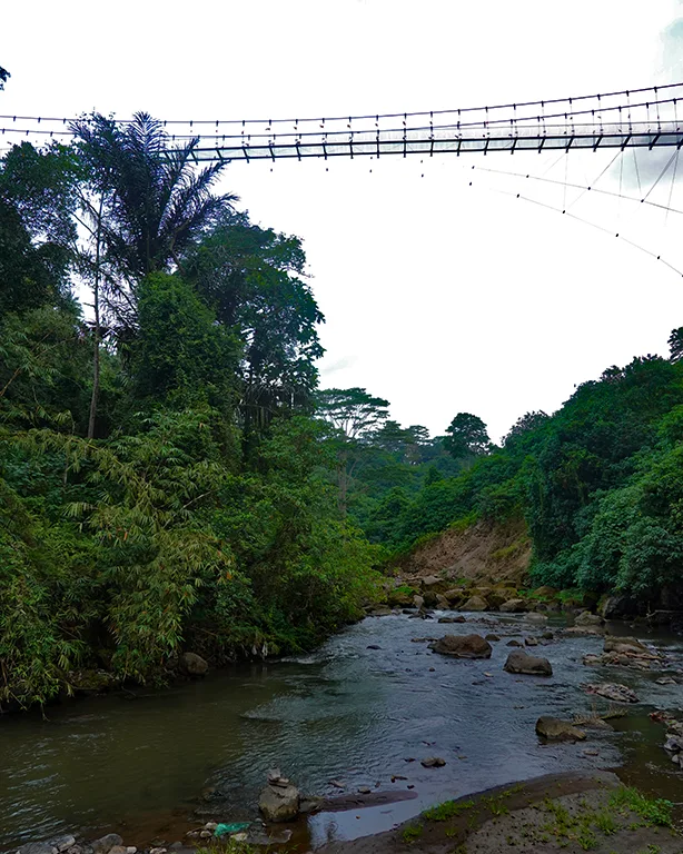 Estructura del Puente de cristal de Bali (Glass Bridge) visto desde la base de la cascada.