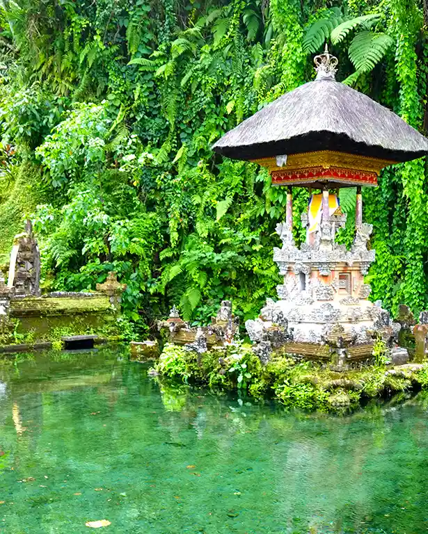Estanque de agua cristalina y carpas en Pura Gunung Kawi Sebatu.