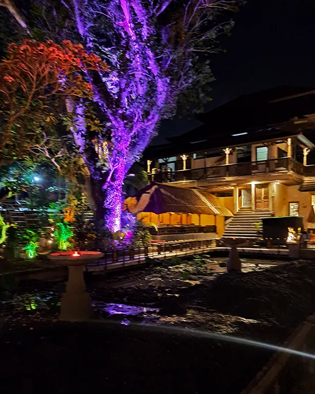 Estanque de flores de loto iluminado por la noche en el Pura Saraswati de Ubud.