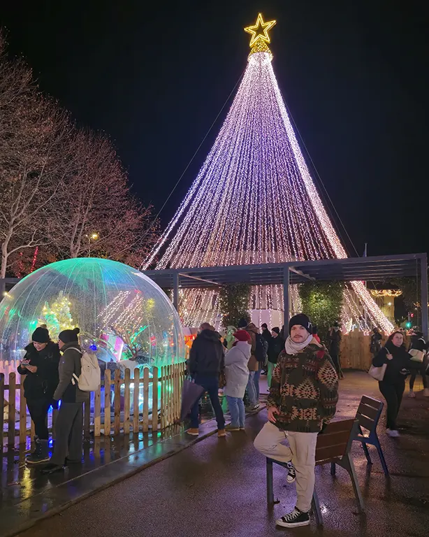 Árbol luminoso en Carcassonne.